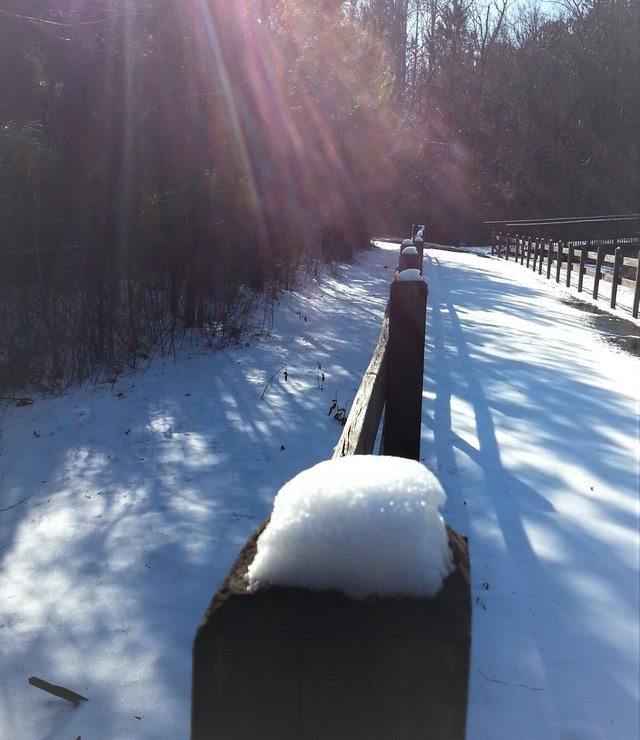 snow on post.jpg