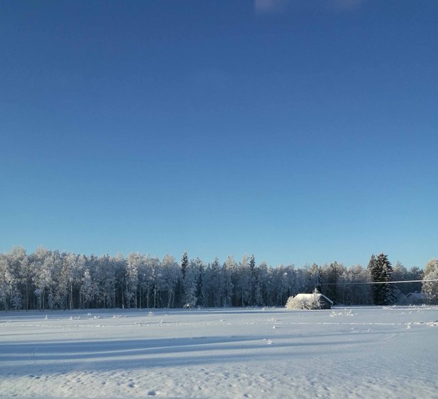 Winter day picture in Steemit Blog+2