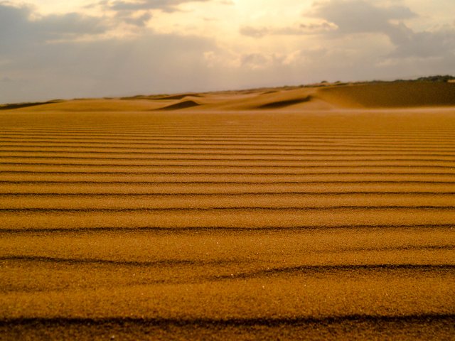 medanos2.jpg