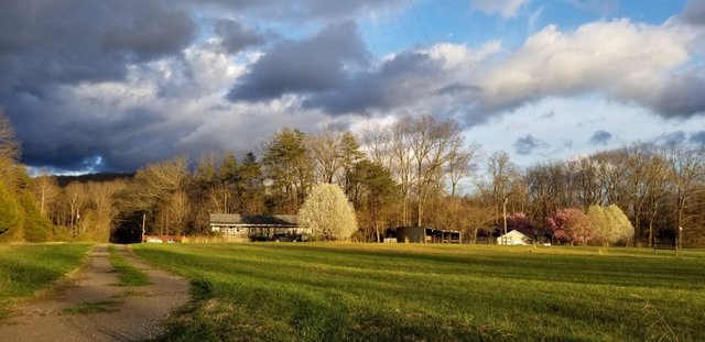 20180301_165902[1] - Home with Flowering Trees.jpg