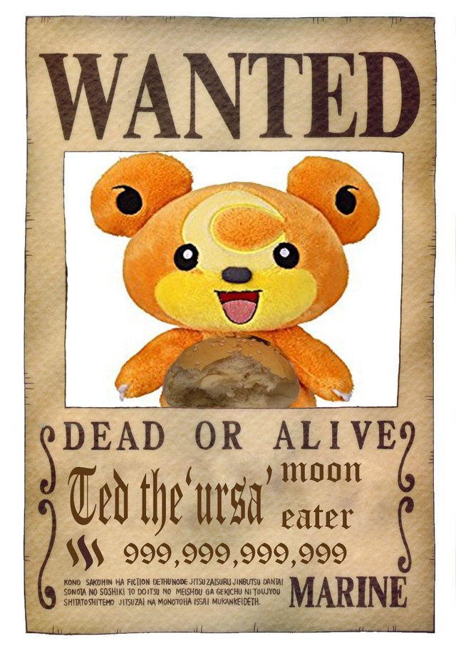 one_piece_wanted_poster_by_ei819 copy.jpg