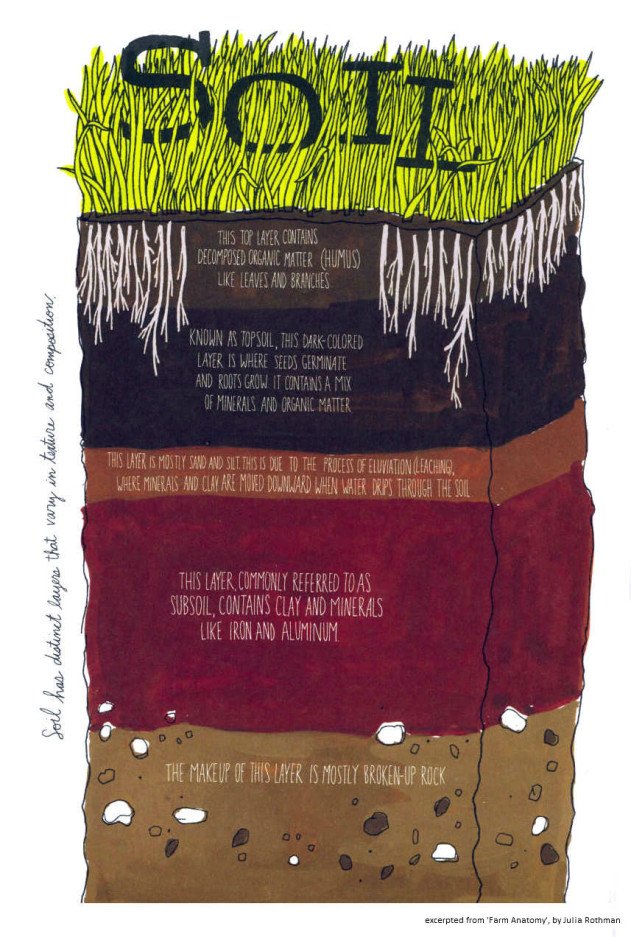 soil-illo-21-631x937.jpg