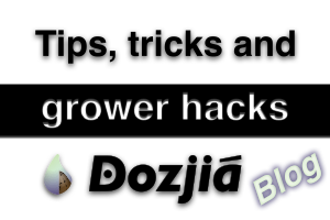 tips tricks and hacks 300x200.png