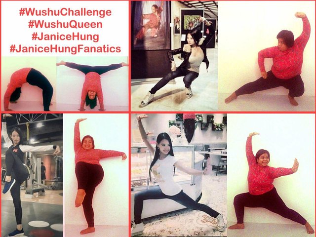 wushuchallenge13.jpg