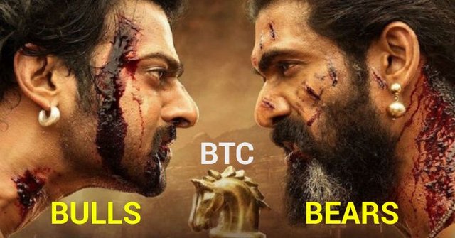 bulls vs bears.jpg