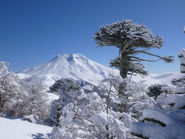 3niseko.jpg