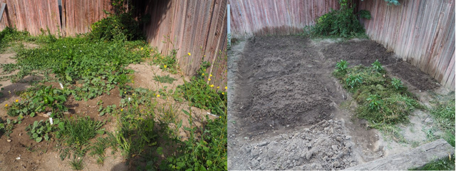 Garden before and after 2.png