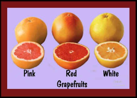 grapefruit-types.jpg