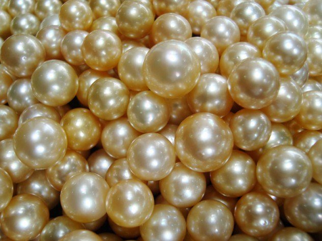 956-cultured-golden-pearls1-e1375411017164.jpg