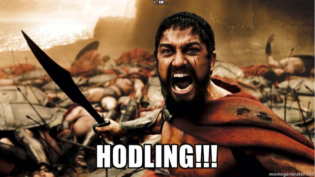 hodl_hodl.png