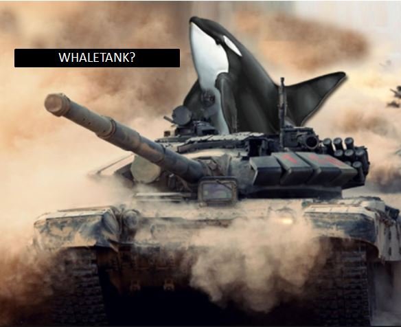 whaletank.JPG