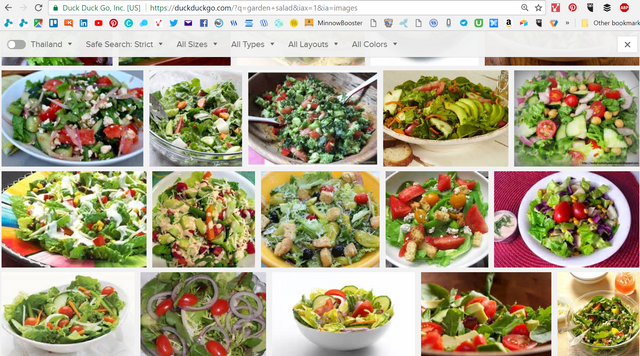 garden salad.PNG