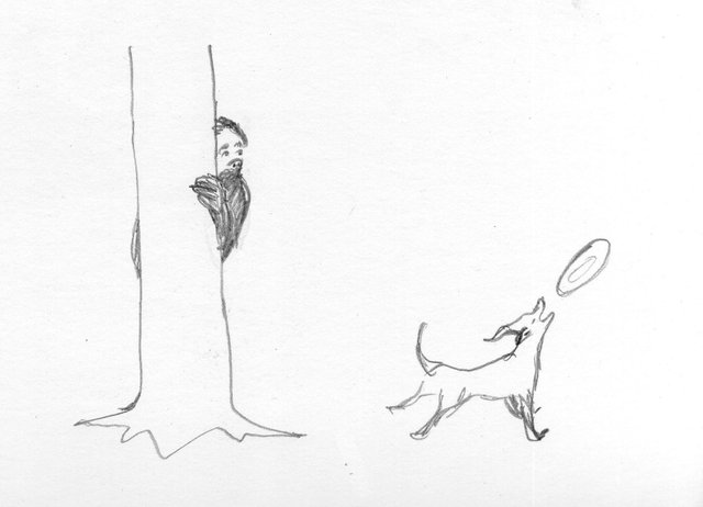 GWdogpark.jpg