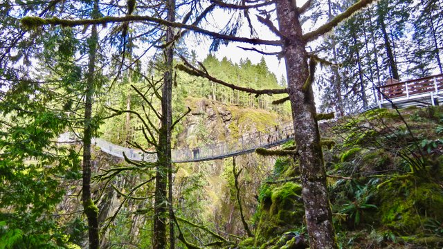 @eric-boucher's photography "Elk Falls Suspension Bridge" IMG_8420.jpg