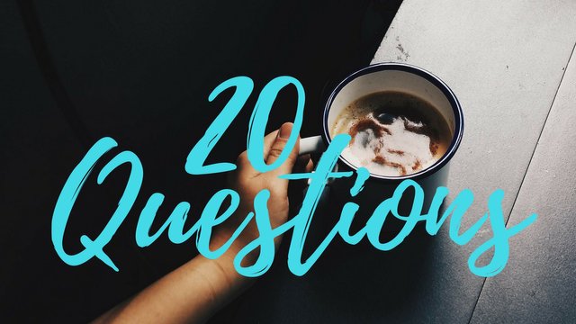 20 Questions (1).jpg