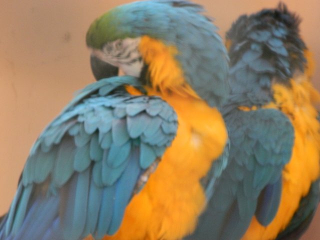 DSCN1552.JPG