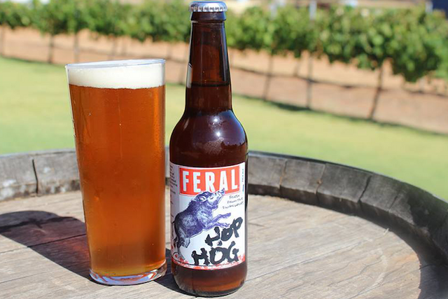 feral-Beer-1.png