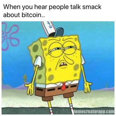 Spongie Bitcoin.jpg