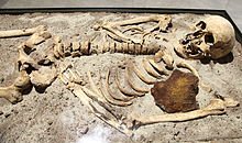 220px-Vampire_skeleton_of_Sozopol_in_Sofia_PD_2012_06.JPG