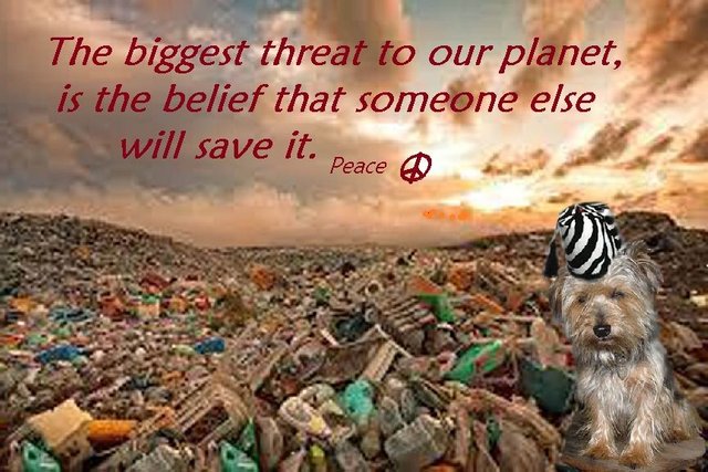 Foster's Wisdom Threat to the Planet.jpg