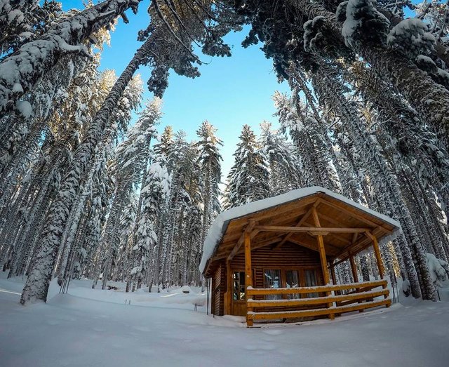 LovelyWinter.jpg