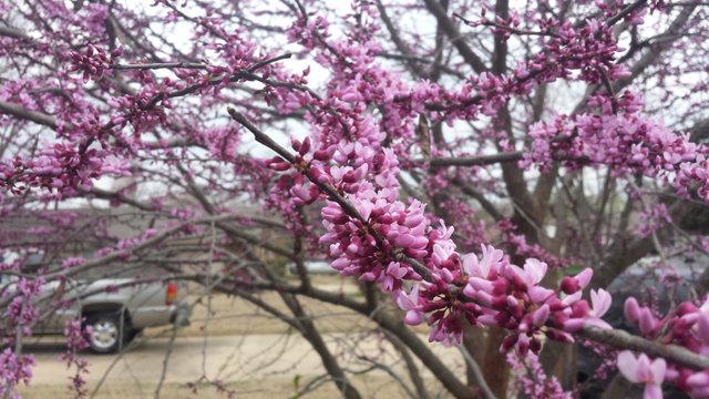 20180323_162738.jpg