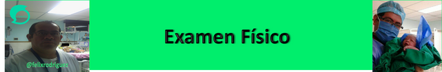 HEMA 4.png