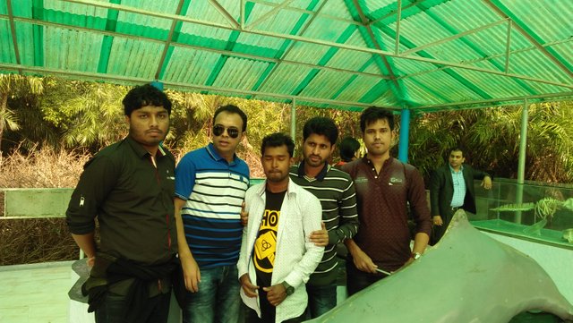 IMG20171219121534.jpg