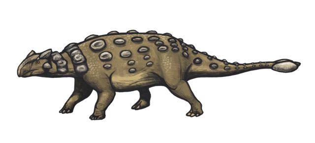 Ankylosaurus_magniventris_reconstruction.png