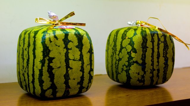 square-watermelons.jpg