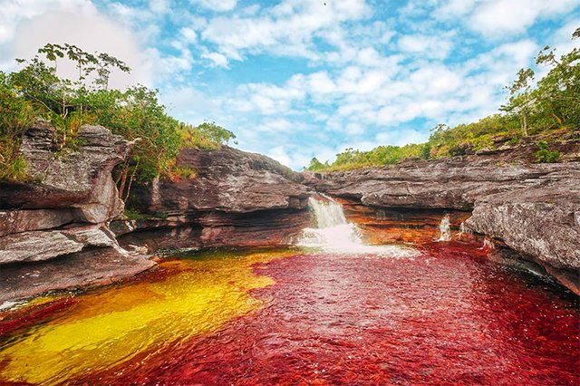 lugares-da-america-do-sul-cano-cristales.jpg