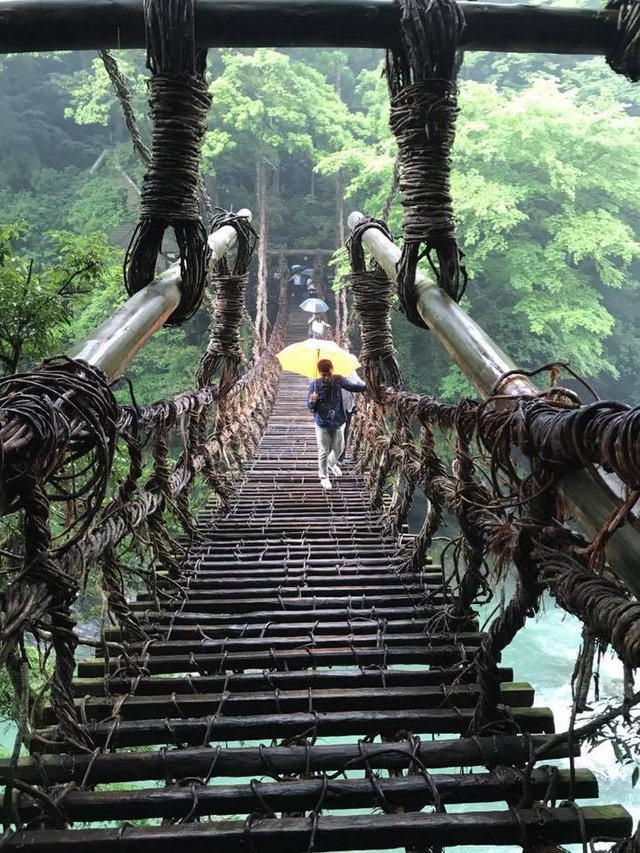 Kazura-Bashi at Miyoshi-shi, Tokushima, Japan 7.jpg