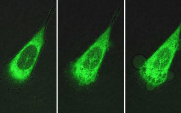 nanomachines-attack-cancer-cell.jpg