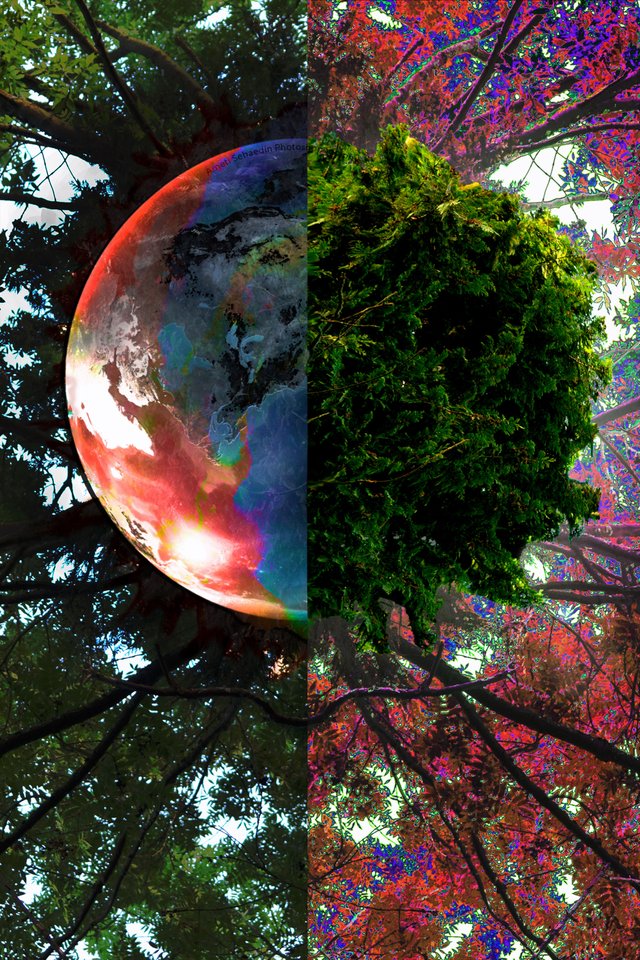 Two planets as one.jpg