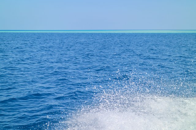 snorkeling trip maafushi2081.jpg