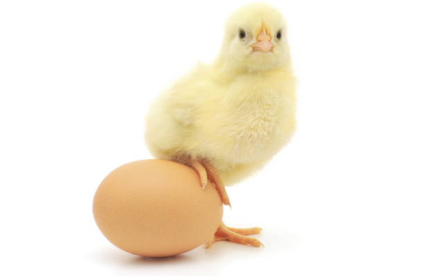 chicken-and-egg-resized1.png