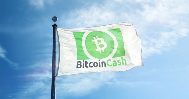 bitcoin-cash-flag.jpg