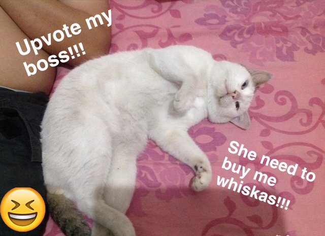 received_1908777485841753.jpeg