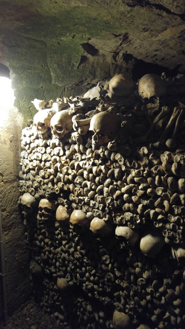 Pic 22 - Catacombs.jpg