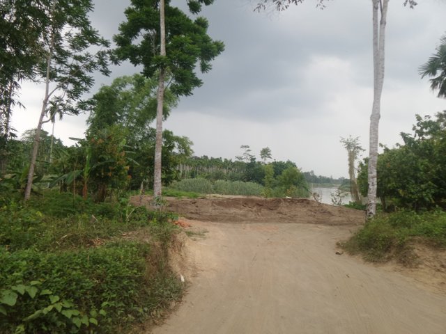 20180422_123745.jpg