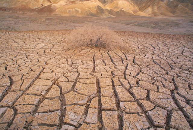 vast_wasteland.jpg