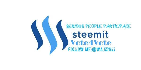 steemit.jpg