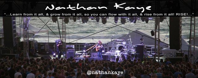 Nathan-Kaye-Steemit-Banner-01.jpg