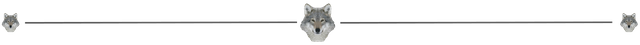 wolf-divider.png