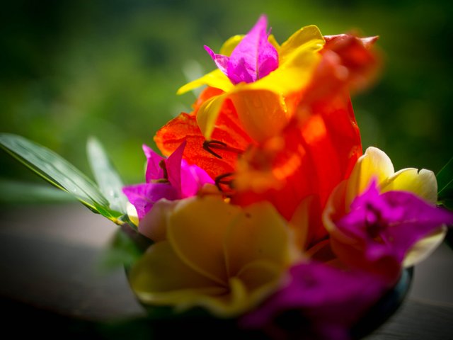 flowers-3.jpg
