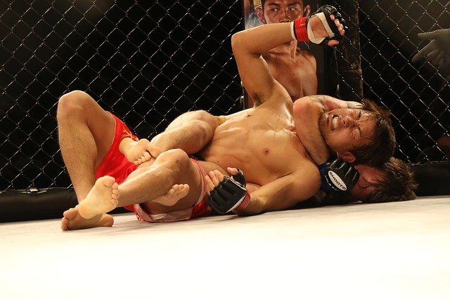 mma-2495816_640.jpg