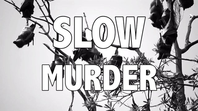 slow_murder.jpg