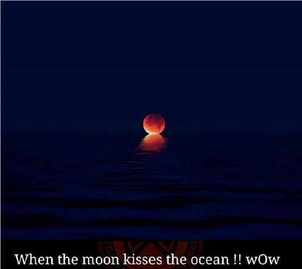 moon kiss.JPG