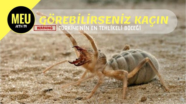 GÖREBİLİRSENİZ KAÇIN.jpg