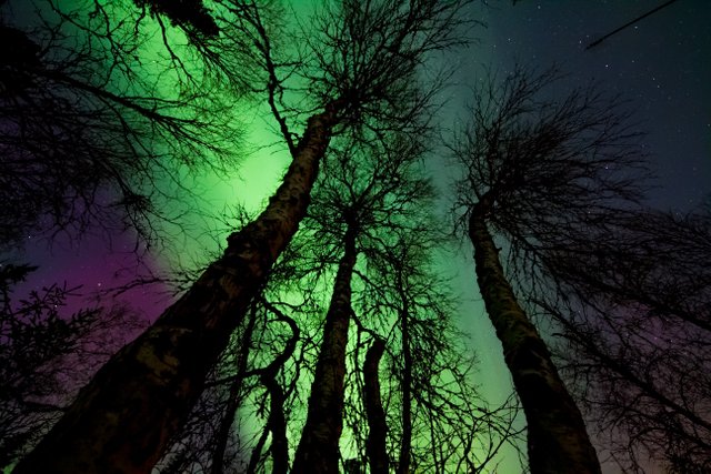 astronomy-atmosphere-aurora-borealis-902756.jpg